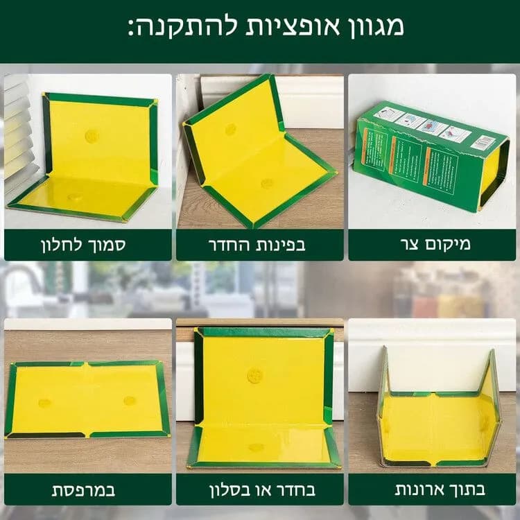 מלכודת דבק חזקה לעכברים וחולדות