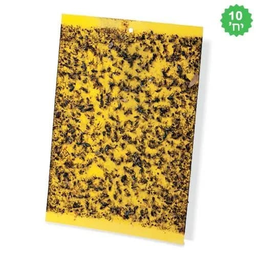 10 יח' מלכודת דבק איכותית למזיקים - צהוב, גודל M
